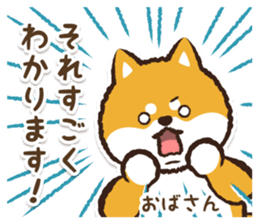 366714612