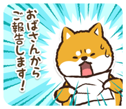 366714622