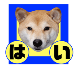 366721908