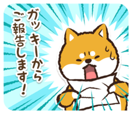 366735254