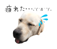 366744034