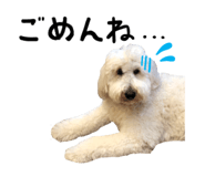 366744036