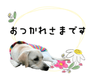 366744040