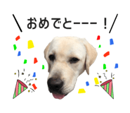 366744049