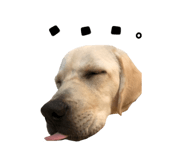 366744055