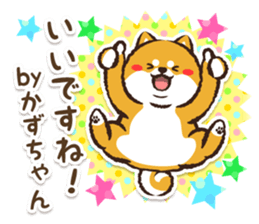 366746262