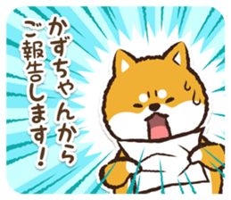 366746278