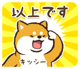 366749217