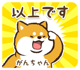 366749417