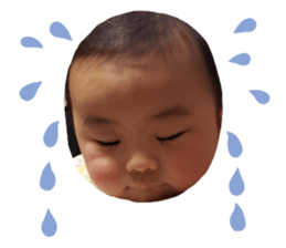 366750871
