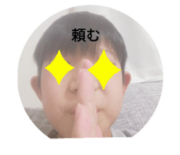 366804316