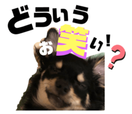 366812425