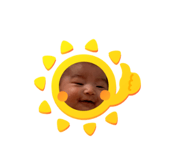 366833611