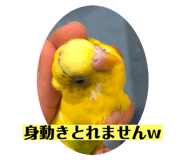 366840646