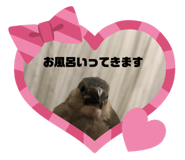 366840648
