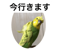 366840650