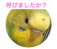 366840651