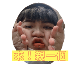 366844366