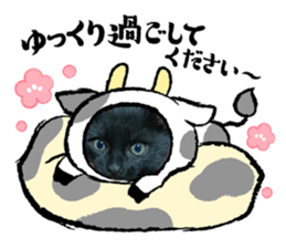 366848325