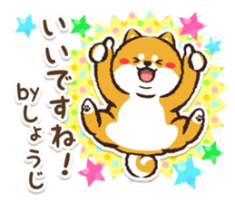 366853054