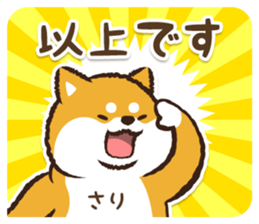 366856081
