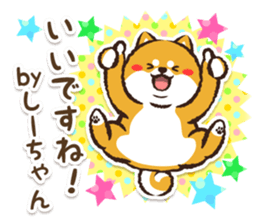 366867606