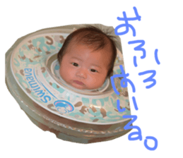 36691553