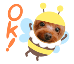 366946584