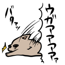 3669528