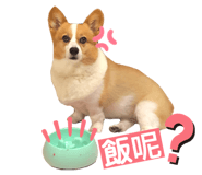367058295