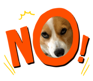 367058299