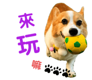 367058300