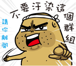 367059073