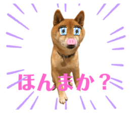 367072704