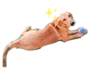 367077088