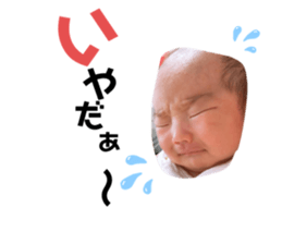 367120161