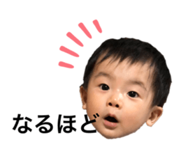 367239442