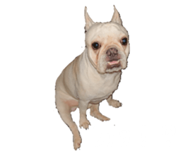 367303858