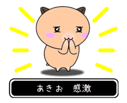 367371675