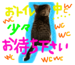367404689