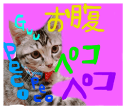 367404695