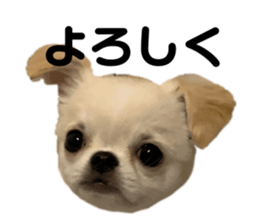 367454530