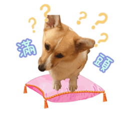 367548594