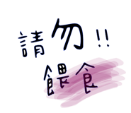 367577411