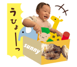 367659305