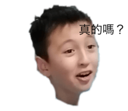 367678061