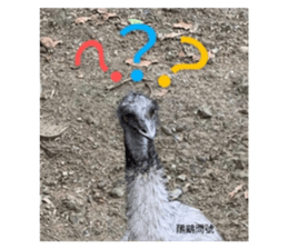 367679174