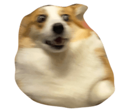 367745706