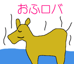 3677593