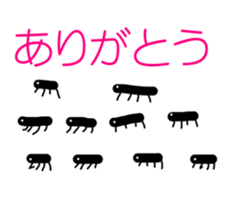 3677603